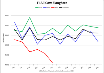 All Cow Slaughter