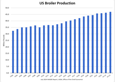 US Broiler Production