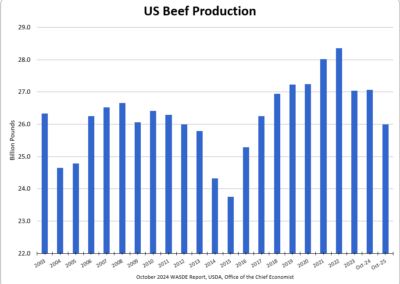 US Beef Production