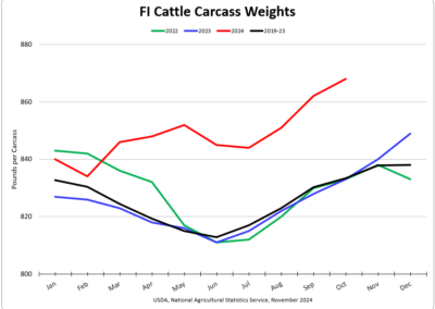 Carcass Weights