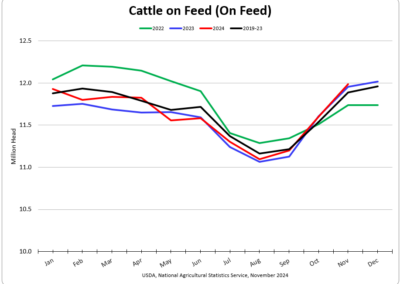 Cattle on Feed