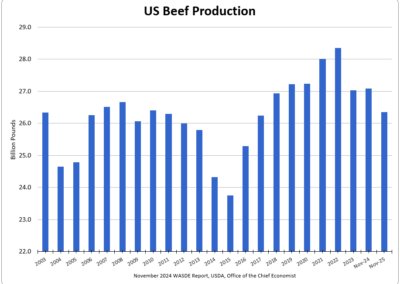 US Beef Production